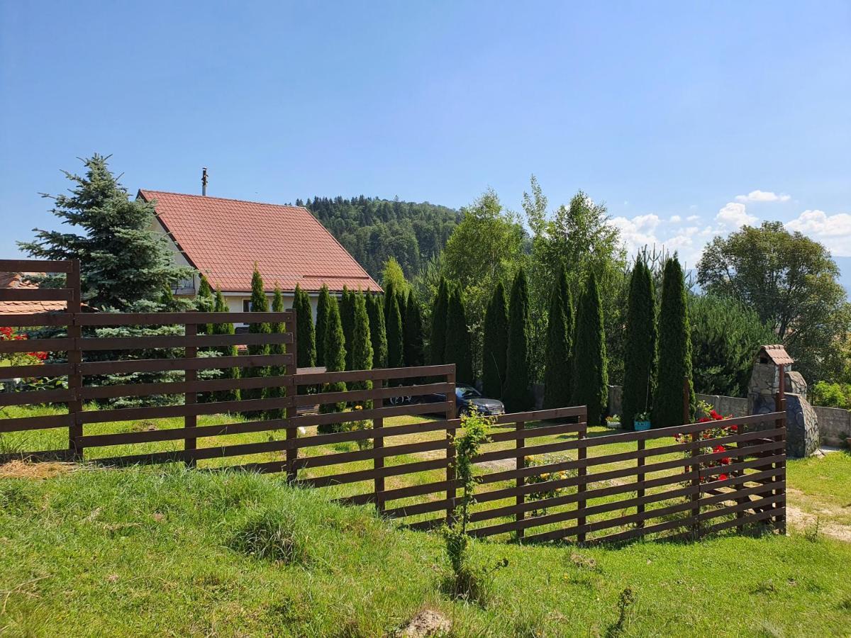 Casa Carpati * Zarnesti