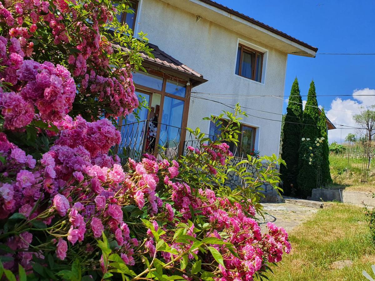 Homestay Casa Carpati